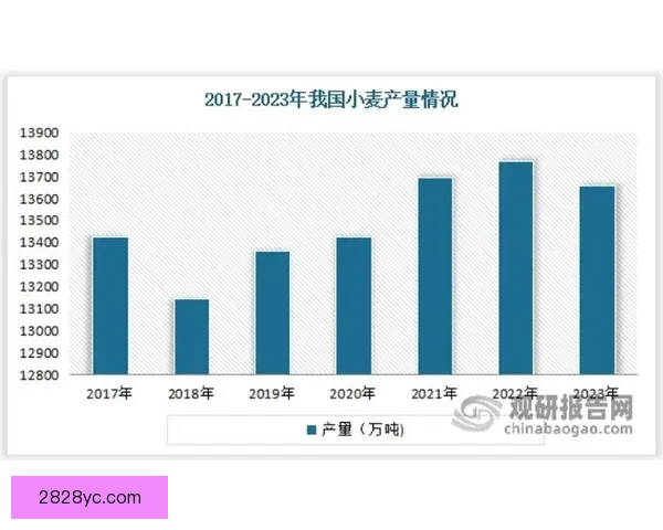 以连多姆0至5奎维丁为核心的研究进展与应用前景分析